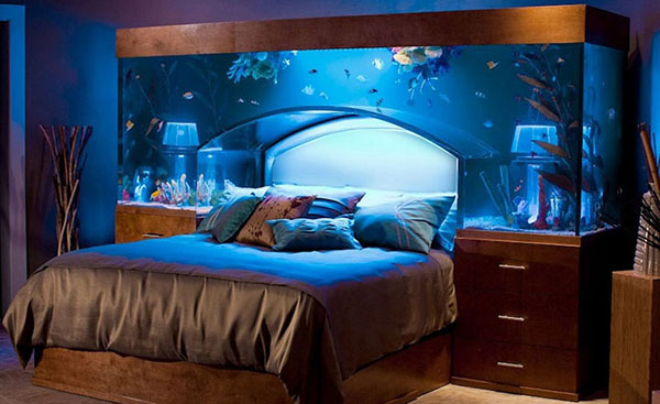 Có nên để bể cá trong phòng ngủ và những điều cần chú ý