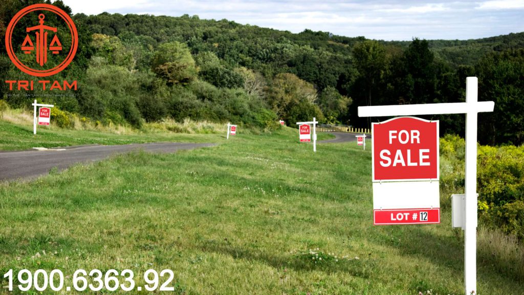 buying land 1024x576 1