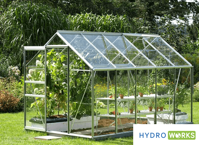 Các kiểu thiết kế nhà kính nhà màng trồng rau sạch phổ biến hiện nay - HydroWorks