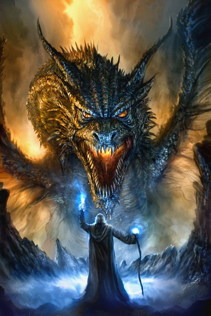 dragon 07