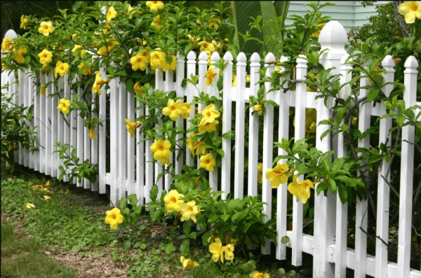 Hàng trăm mẫu hàng rào đẹp nhất hiện nay cho biệt thự và nhà riêng