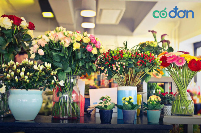 Kinh nghiệm mở cửa hàng hoa tươi đắt khách