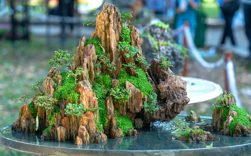 99+ mẫu tiểu cảnh hòn non bộ thác nước mini đẹp ấn tượng 2021 | SGL - SaiGon Landscape