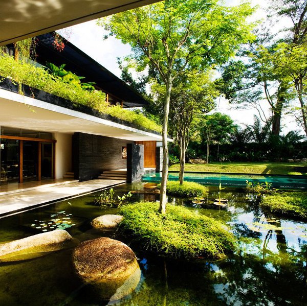 Ngôi nhà đẹp như resort nhờ vườn trên mái, hồ nước ngập cây