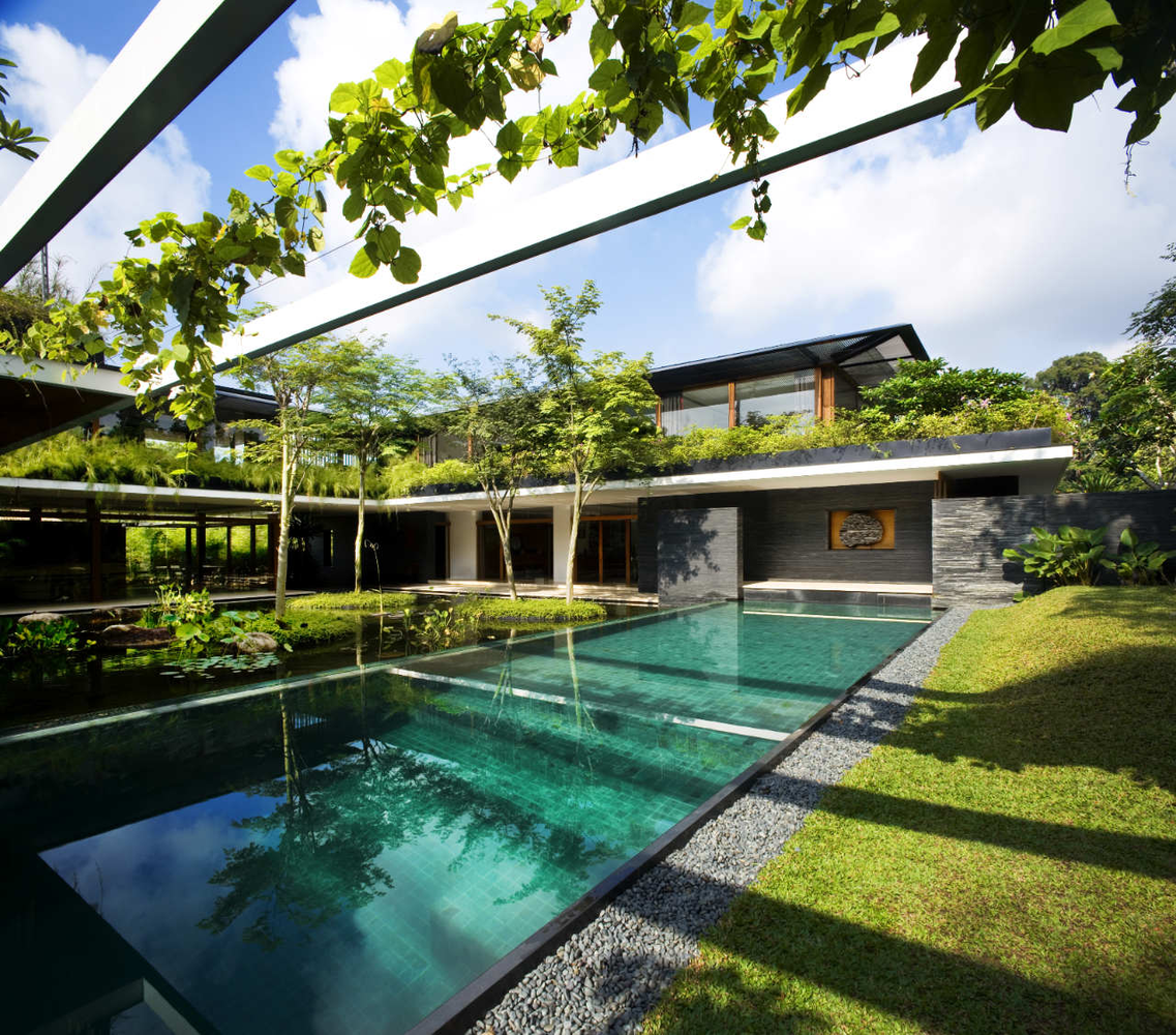 Ngôi nhà đẹp như resort nhờ vườn trên mái, hồ nước ngập cây