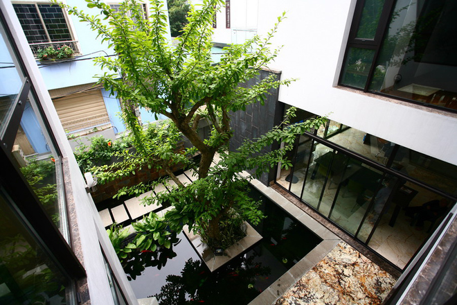 Top 7 ý tưởng đơn giản không gian xanh cho nhà phố ngập tràn sức sống