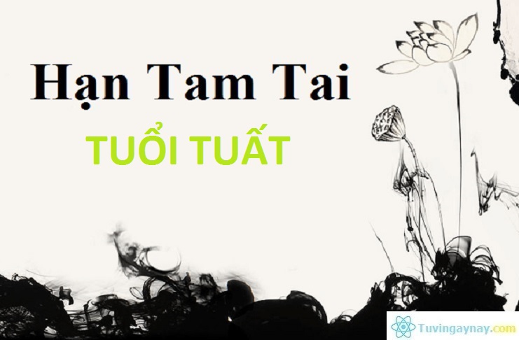 Năm hạn Tam Tai của tuổi Tuất rơi vào những năm nào?