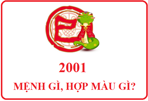 2001 hop mau gi