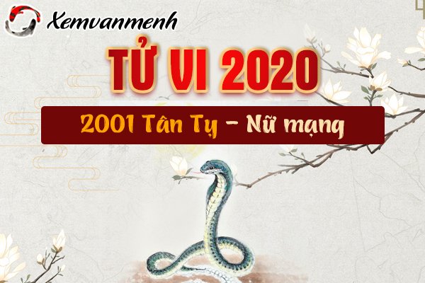 Tử vi tuổi Tân Tỵ (2001) năm 2020 nữ mạng