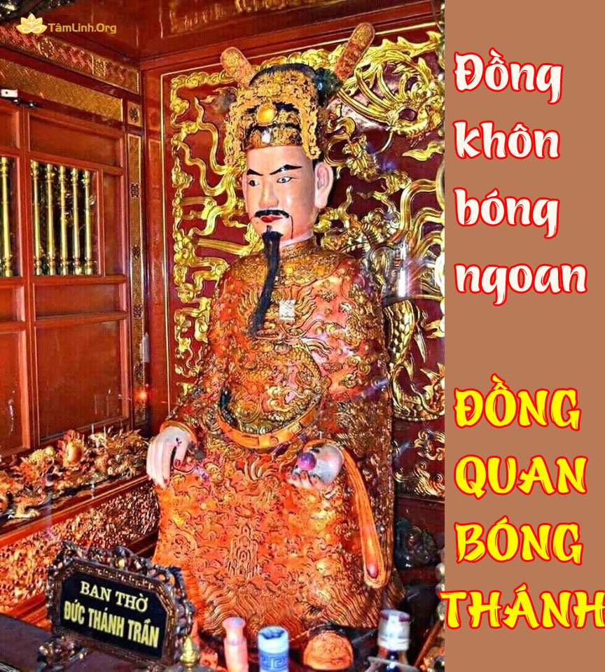 Dong khon bong ngoan dong Quan bong Thanh