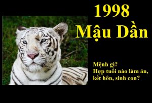 Nam nu sinh nam 1998 menh gi hop tuoi gi lam an ket hon sinh con 300x203 1