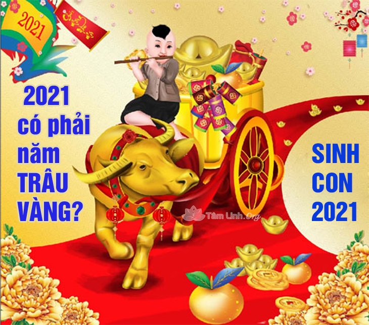 Sinh con nam 2021 Tan Suu co phai Trau V