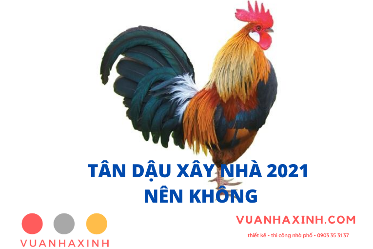 TAN DAU XAY NHA 2021 DUOC KHONG 2