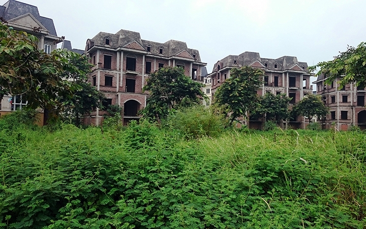 hình ảnh các biệt thự bỏ hoang, cỏ cây mọc um tùm