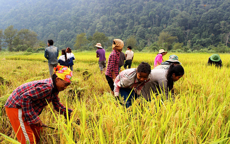 Chương trình giảm nghèo bền vững ở Việt Nam: Thực trạng và giải pháp