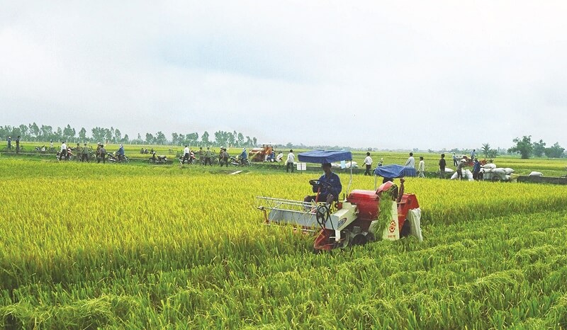 Đất nông nghiệp là gì? Có được chuyển sang đất thổ cư không?@|đất nông nghiệp là gì@|https://static.luatvietnam.vn/uploaded/Images/Original/2021/02/13/dat-nong-nghiep-la-gi_1302091024.jpg@|0