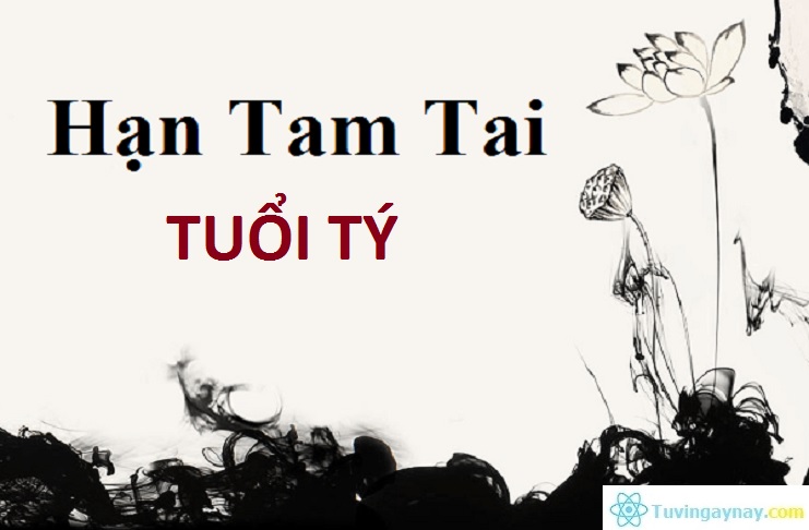 Năm hạn Tam Tai của tuổi Tý rơi vào những năm nào?