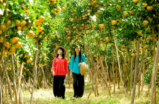 Vườn trái cây Lái Thiêu Bình Dương - "Thánh địa" của các loại cây trái