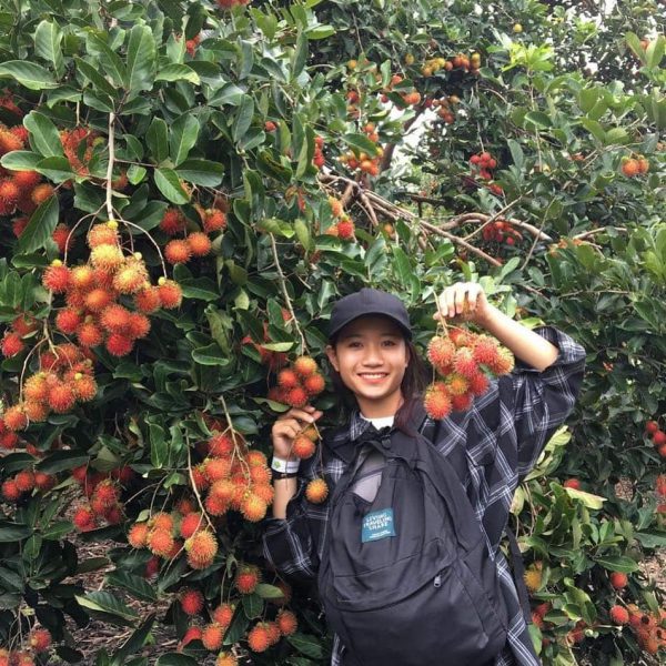 Vườn trái cây Lái Thiêu Bình Dương – “Thánh địa” của các loại cây trái