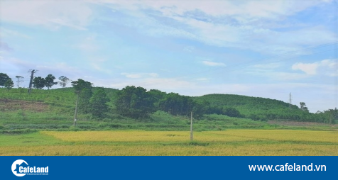 Chấp thuận chuyển đổi đất lúa sang đất phi nông nghiệp tại Ninh Bình và Hậu Giang