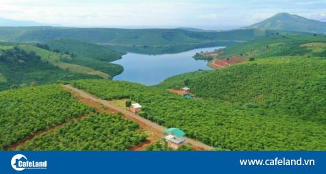 Lâm Đồng: Novaland đề xuất tăng diện tích quy hoạch dự án hồ Đăk Long Thượng từ 30.000 ha lên 32.434 ha