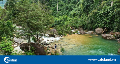 Thanh Hoá quy hoạch vùng sinh thái rừng đầu nguồn hơn 58.000ha