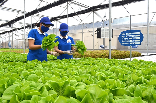 Quảng Ninh: thêm khu nông nghiệp công nghệ cao 106ha được phê duyệt